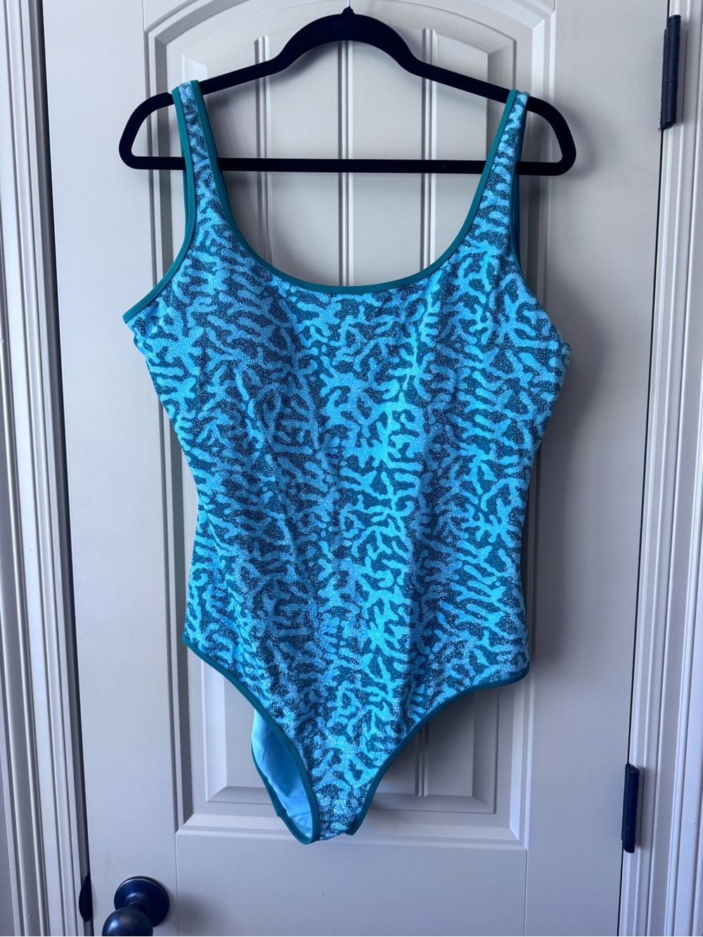 aerie XL Long Shimmer Swimsuit